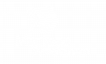 LOGO---MONTAGE-SYSTEME-White